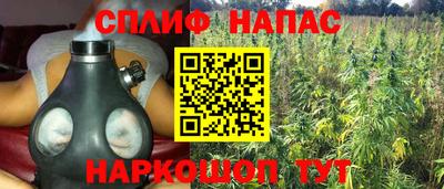 молекула духа Гусев