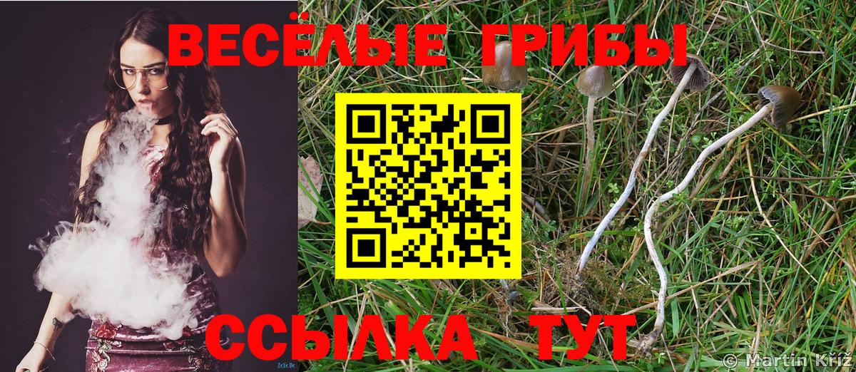 Топки  Псилоцибиновые грибы мухоморы  Галлюциногенные грибы мицелий  Вход с VPN 