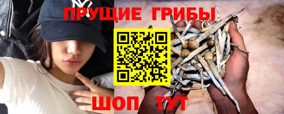 Галлюциногенные грибы MAGIC MUSHROOMS Топки
